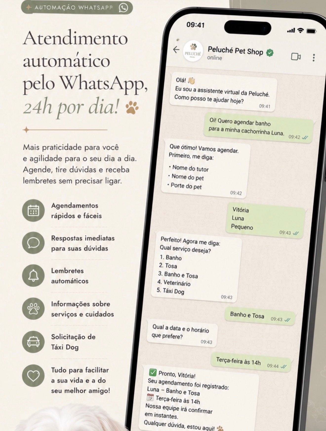 Automação Peluché